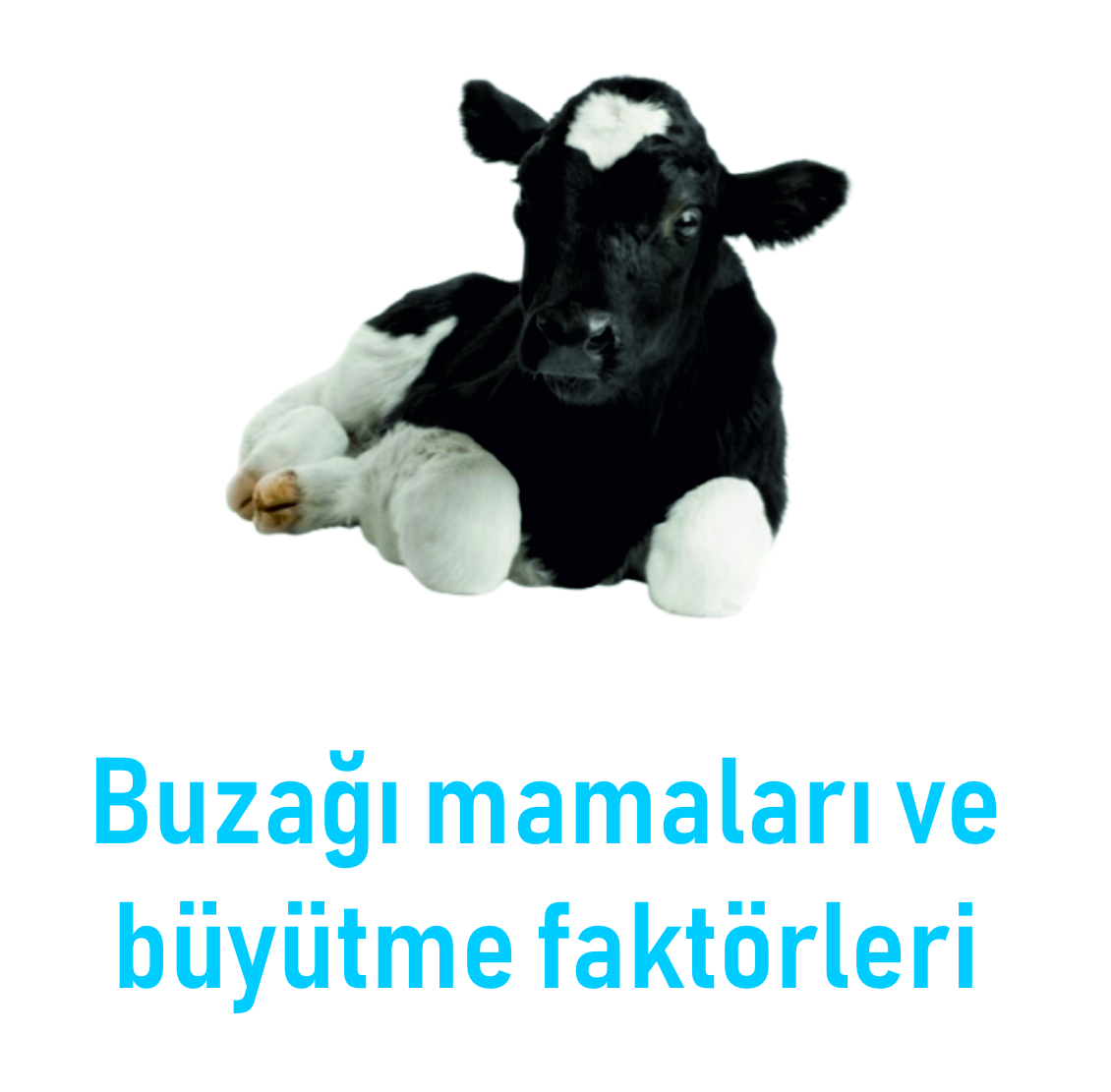 3 Nesneden Oluşan Grup (3)