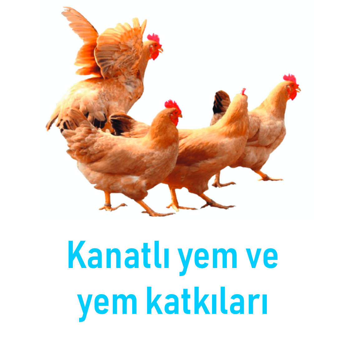 3 Nesneden Oluşan Grup (9)